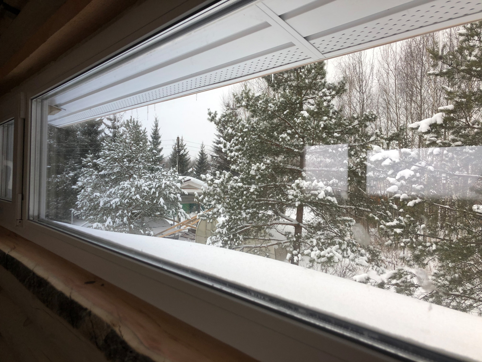 IMG_5430.HEIC