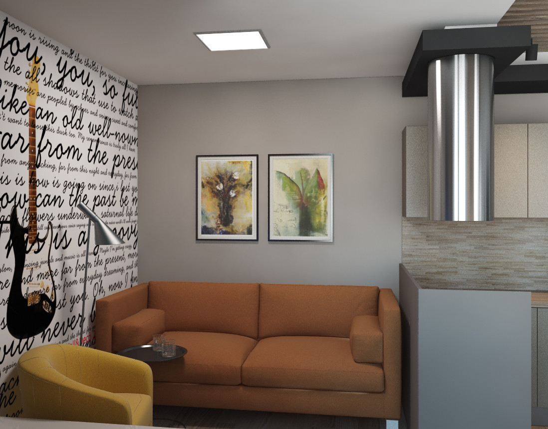 Кухня с гостиной зоной