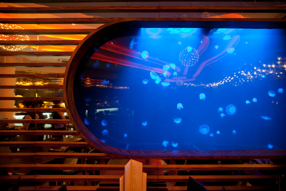 Водный мир: Как оформить аквариум внутри