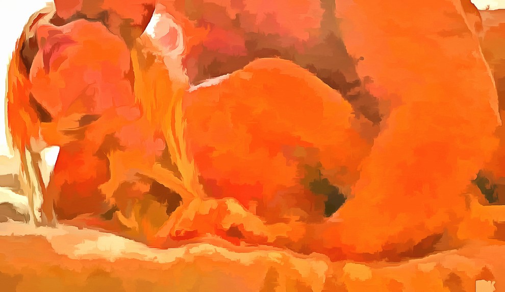 Ангела 2015 Картины