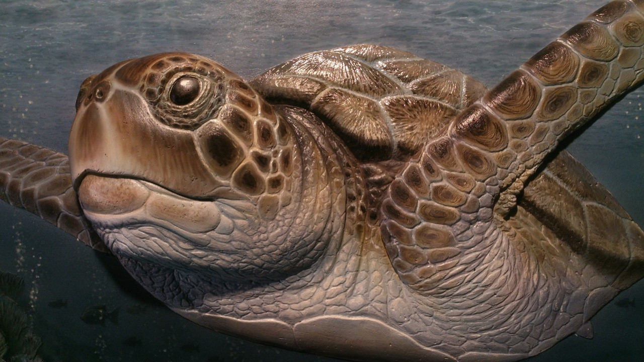 Лепной декор