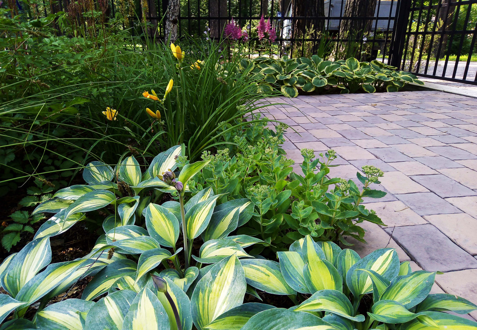 Цветники под пологом леса