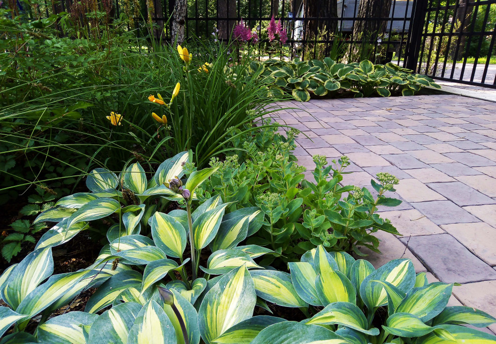 Цветники под пологом леса