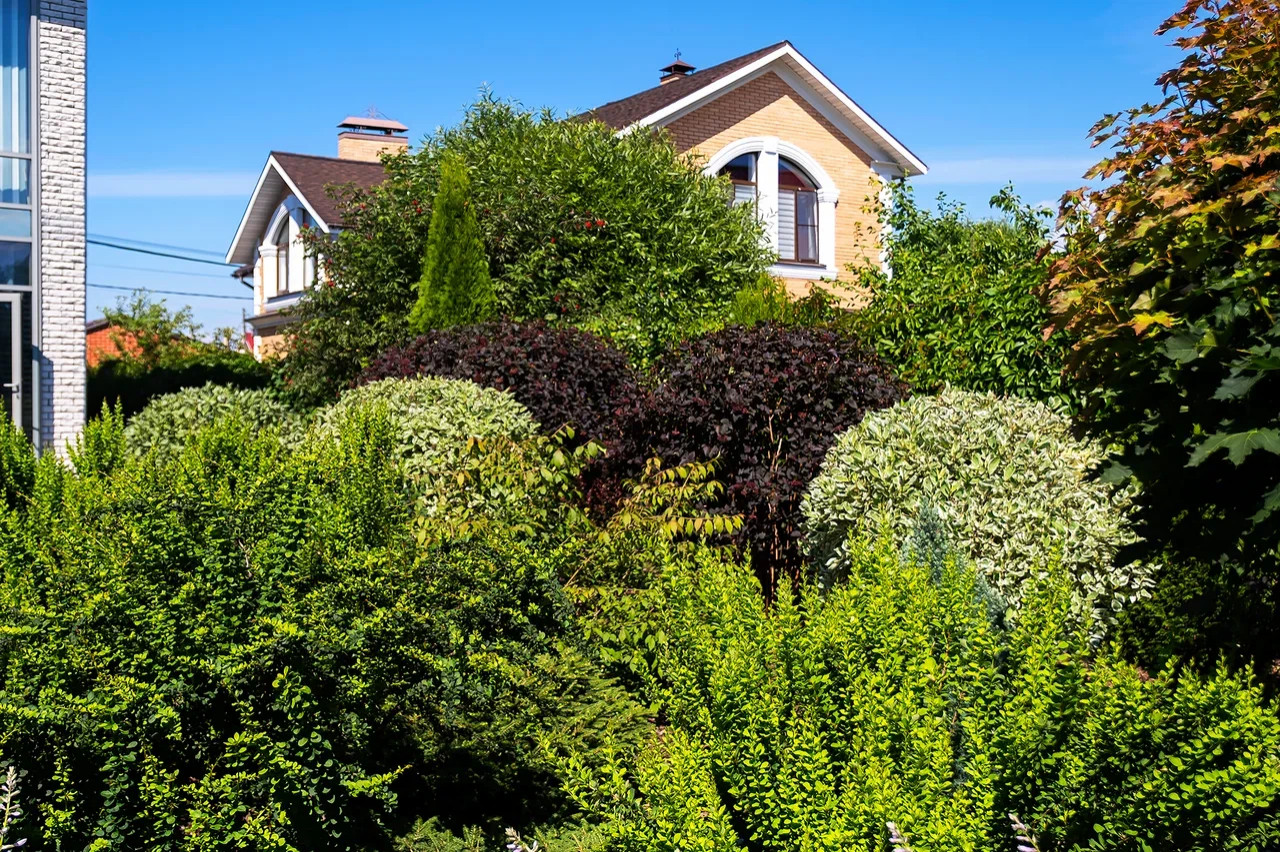 Новосаратовка