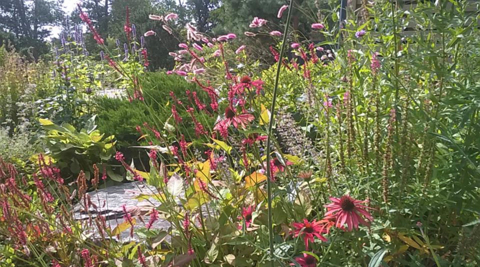 Сад натуралистического стиля