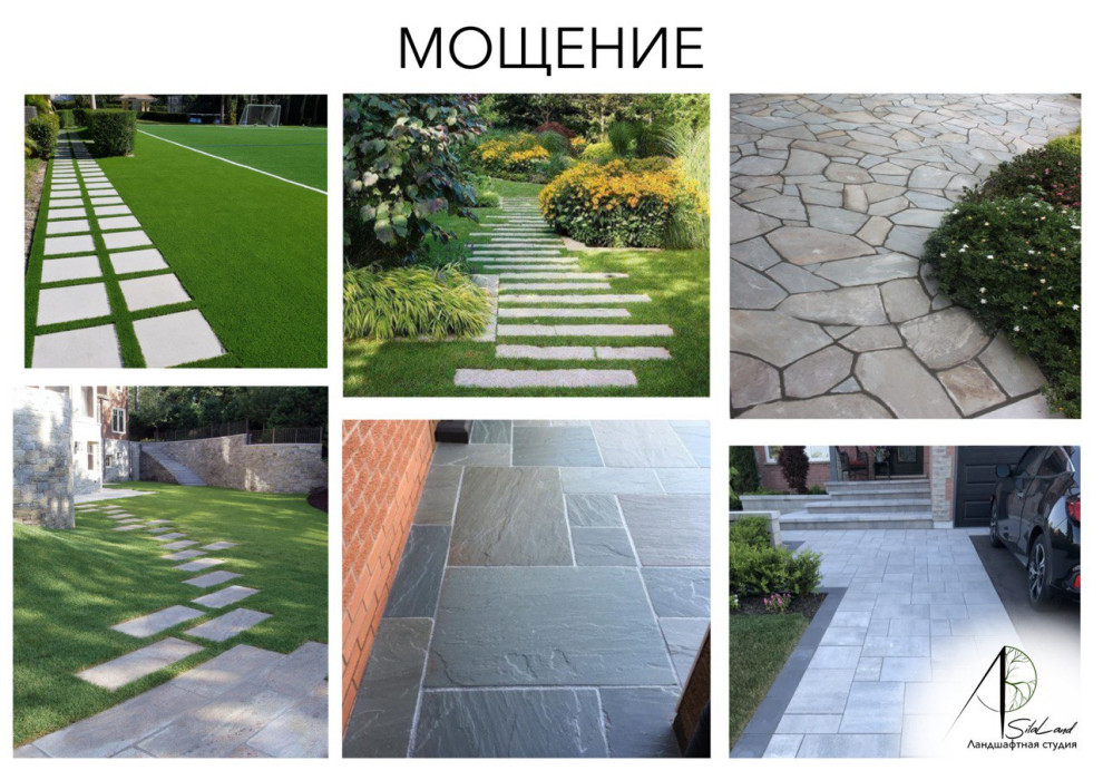 Солнце в кронах