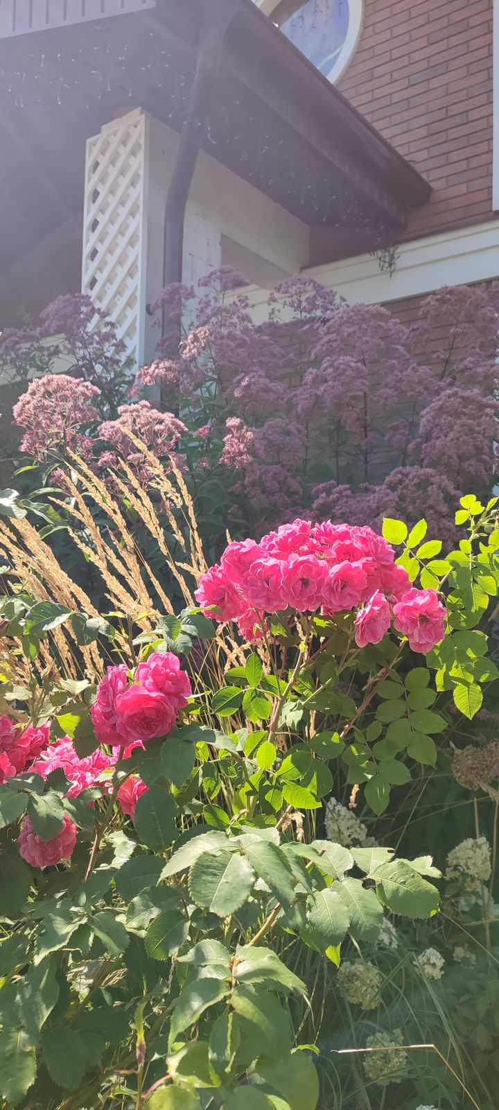 Le jardin de nostalgie