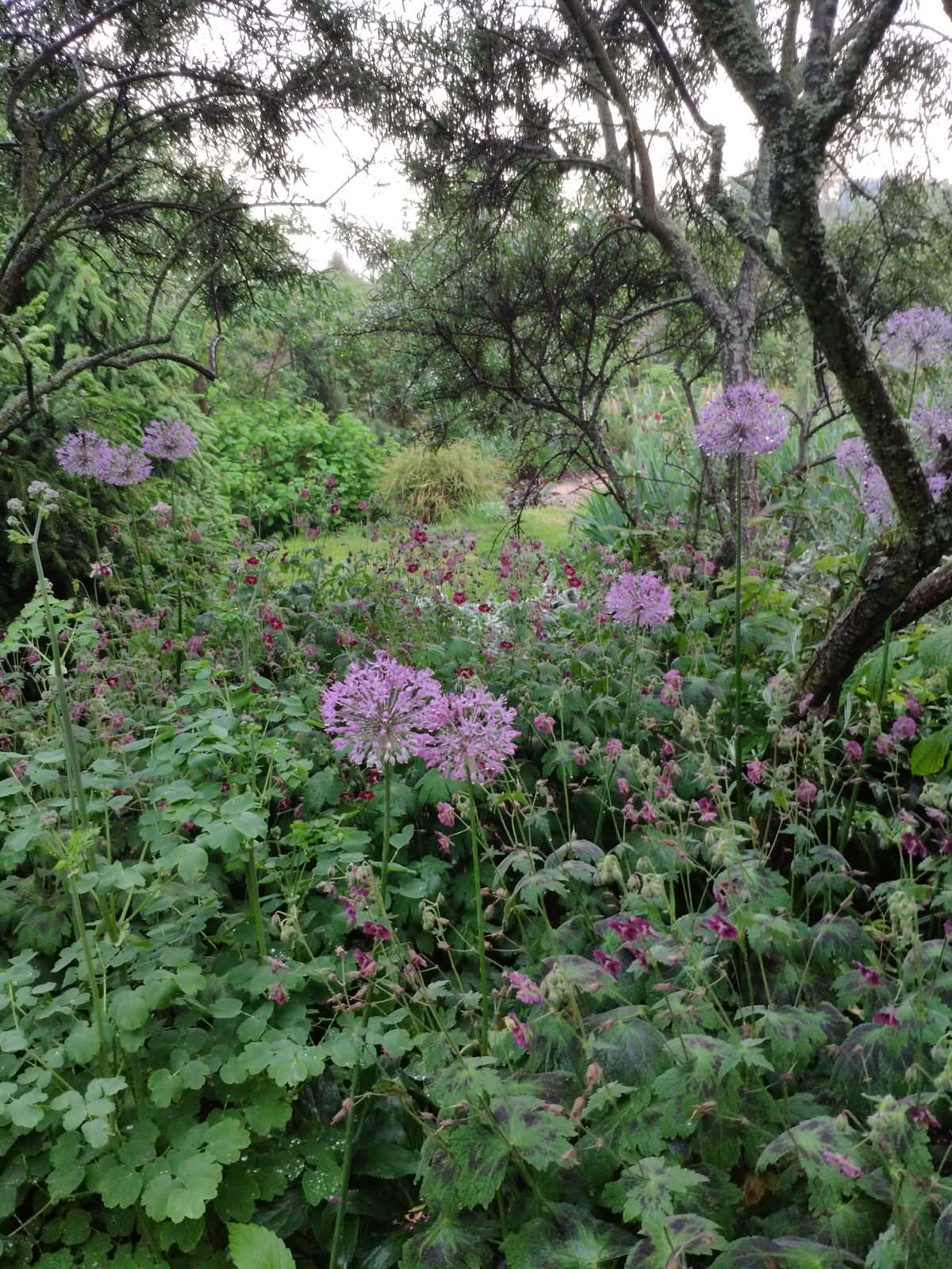 "Экспериментальный" сад любителя растений