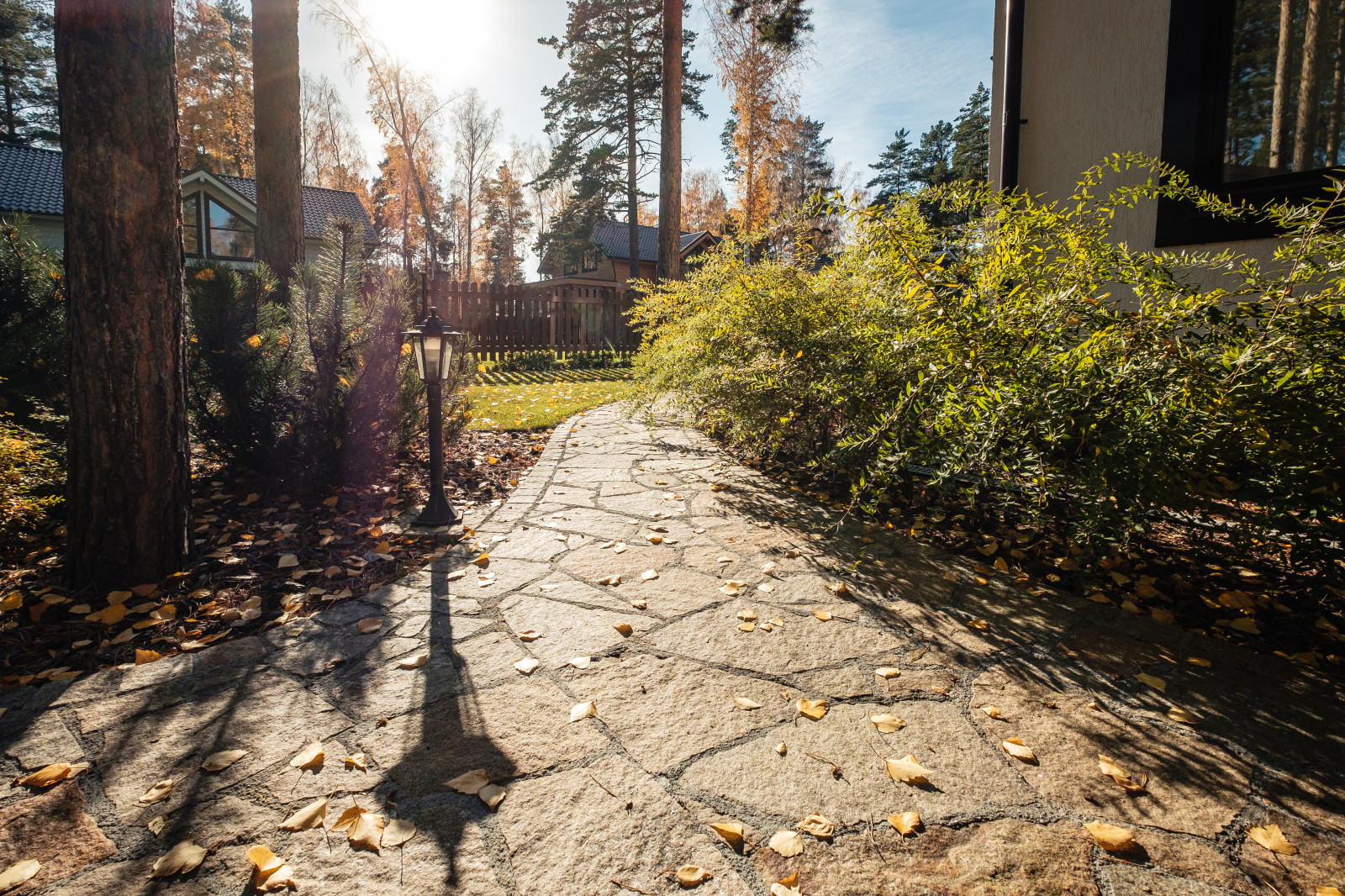 У леса на опушке