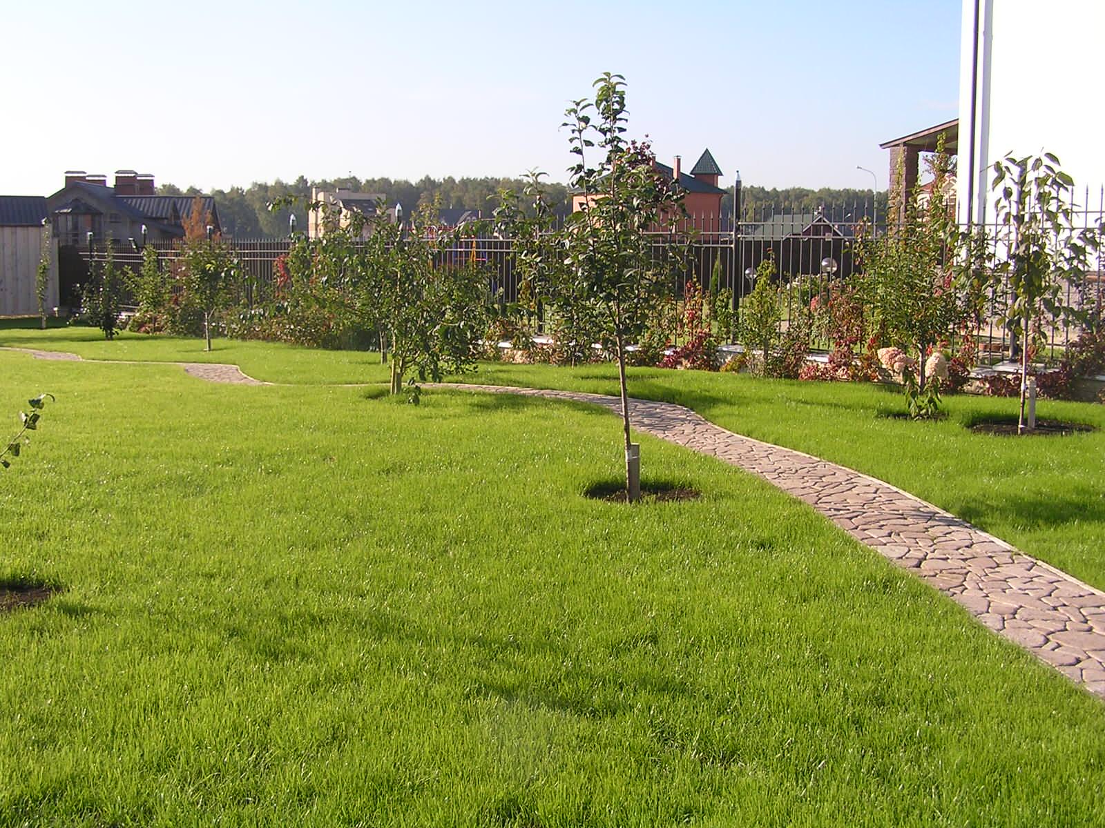 Наши работы