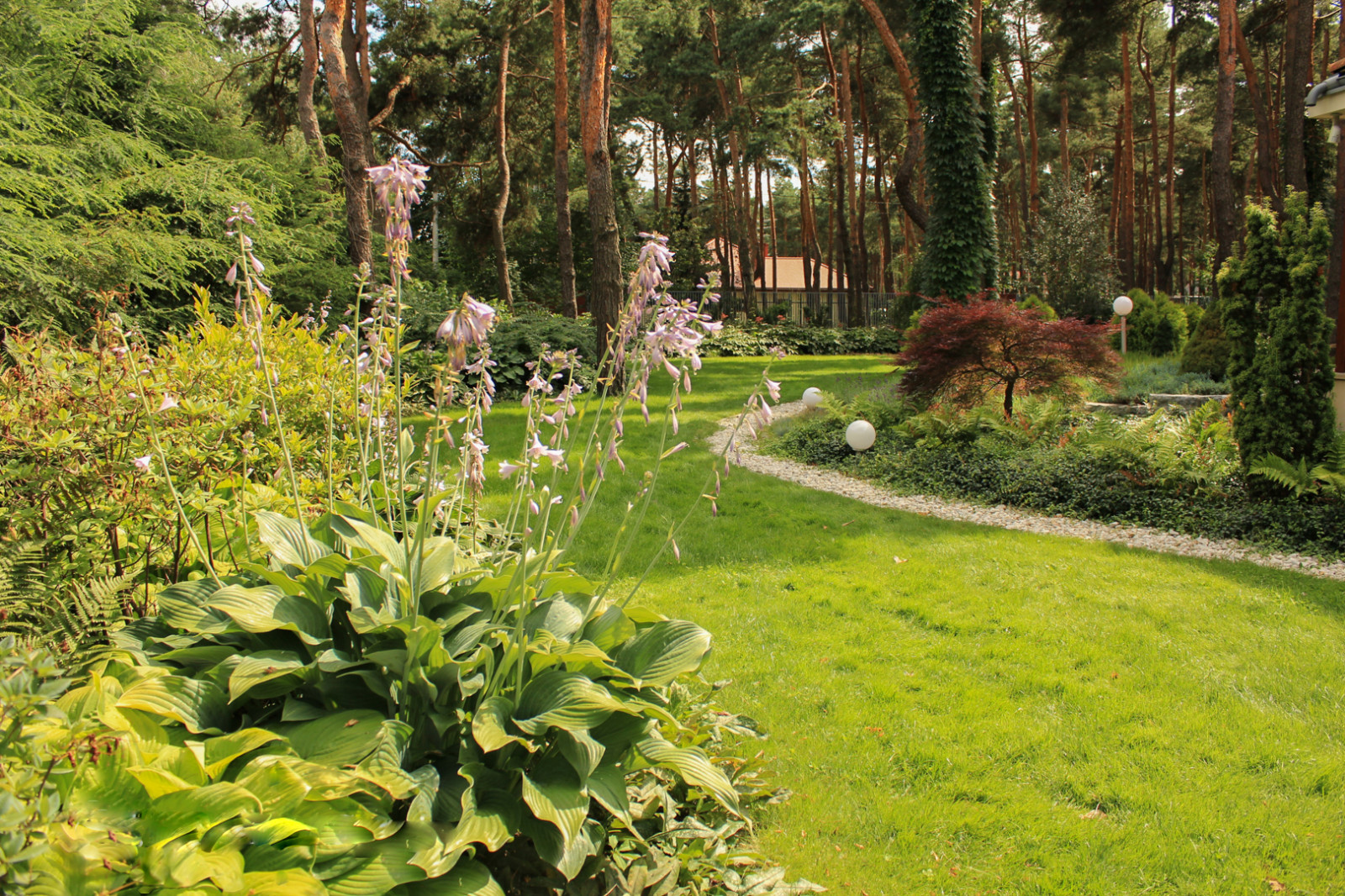 Тенистый сад в лестном массиве