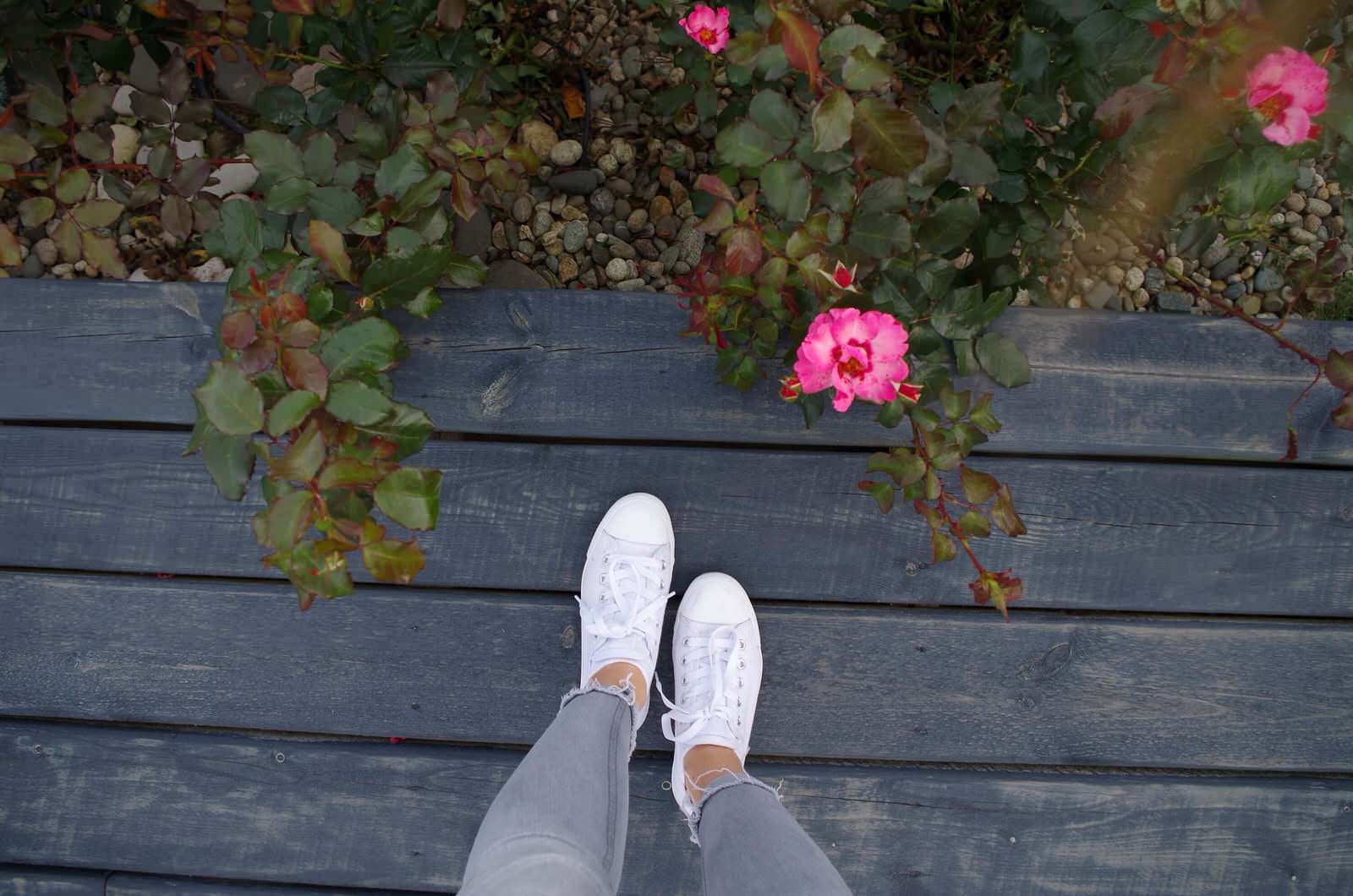 СНЫ О ЧЕМ_ТО БОЛЬШЕМ...