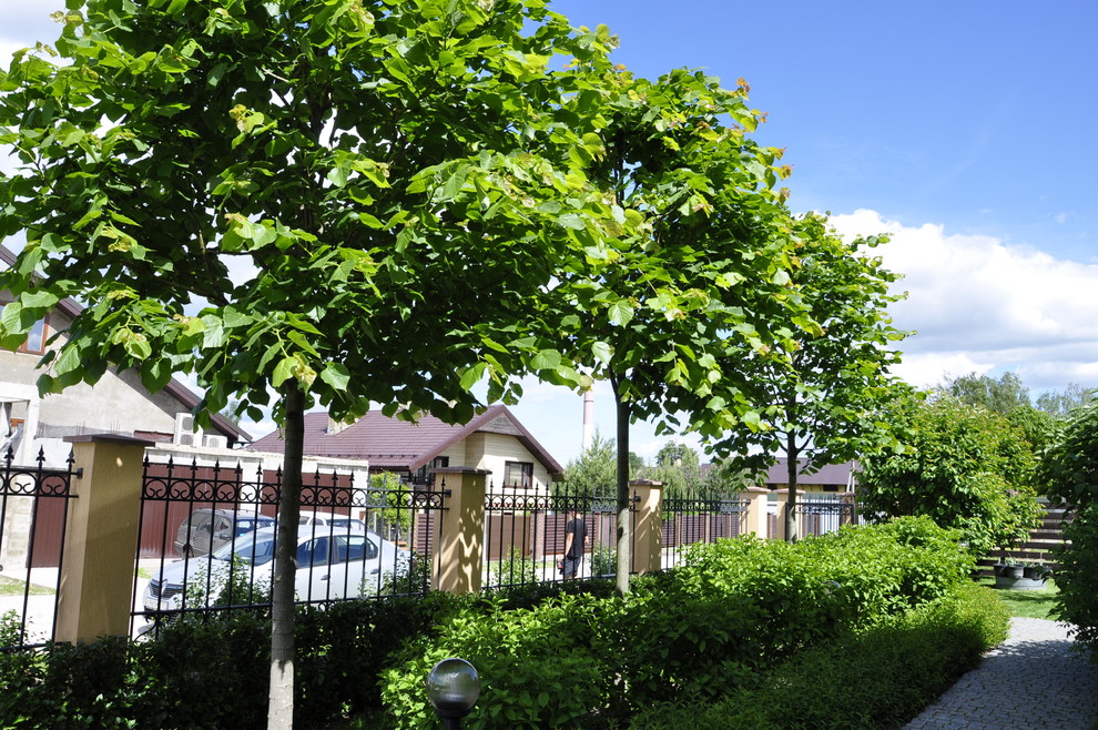 кп "Мелоди" - Уход за садом - 100% качество