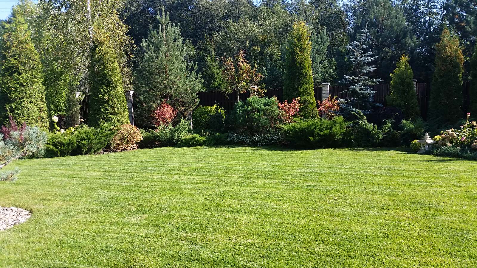 Ландшафтный проект 5