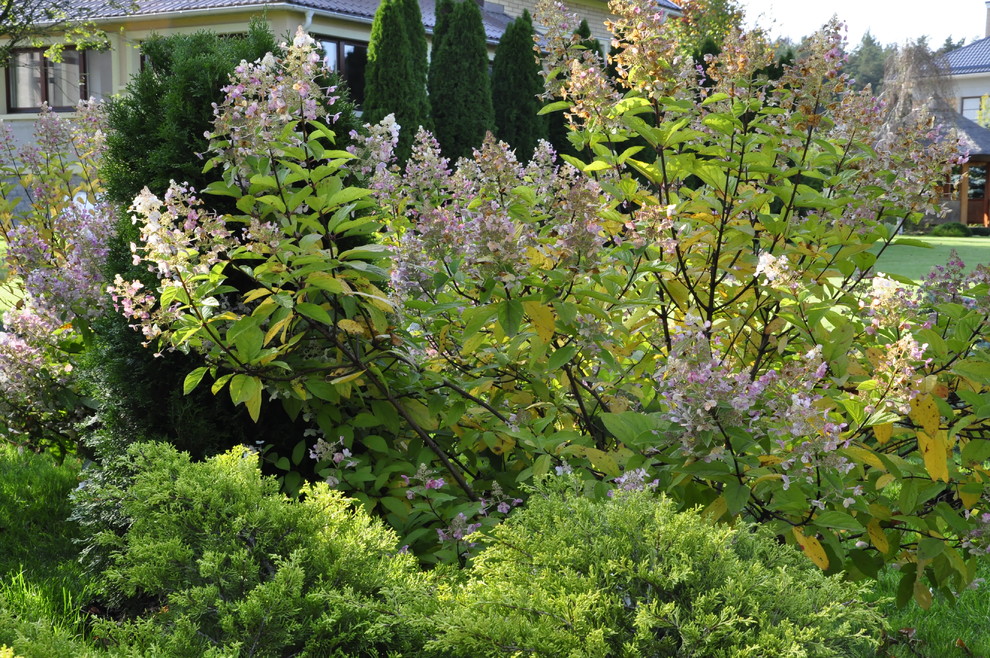 кп "Бенелюкс" - Уход за садом - 100% качество