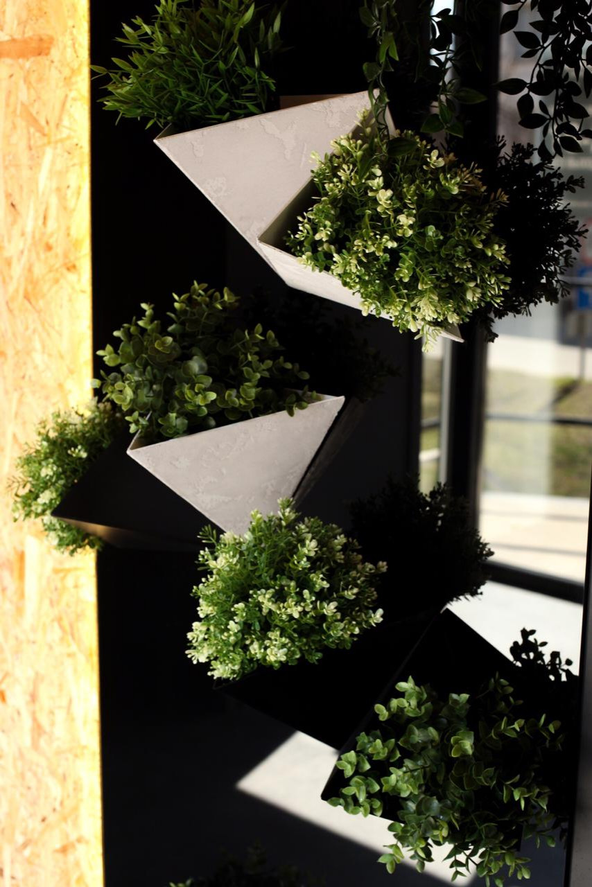 Елена Кибиткина