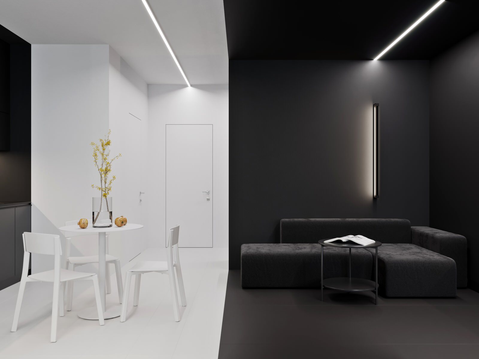 ЧЕРНОЕ И БЕЛОЕ