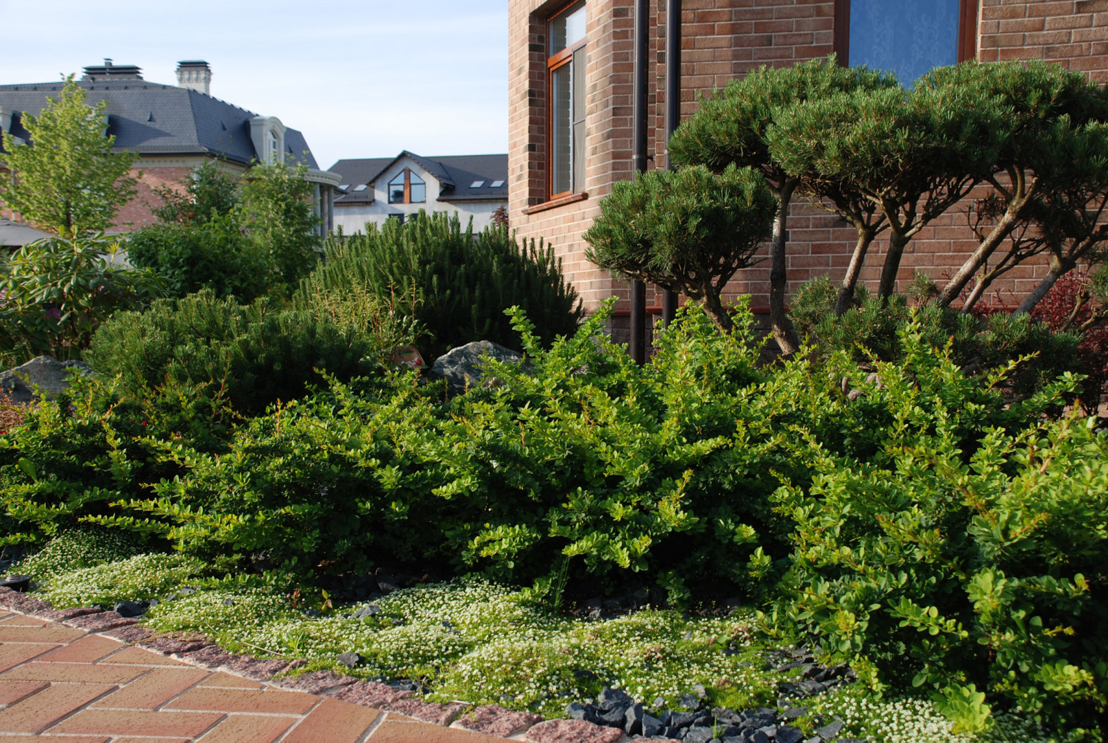 Семейный сад в Миллениум Парк