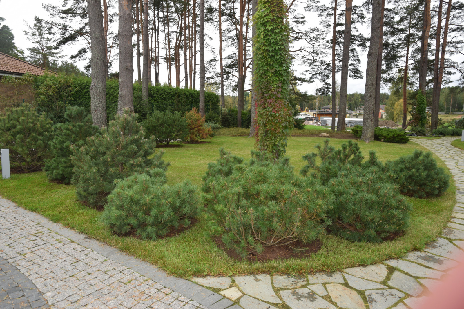 Сестроречье