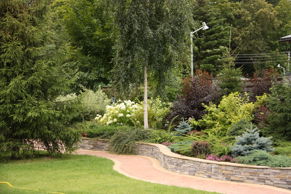 В закладки: Быстрорастущие деревья и кустарники