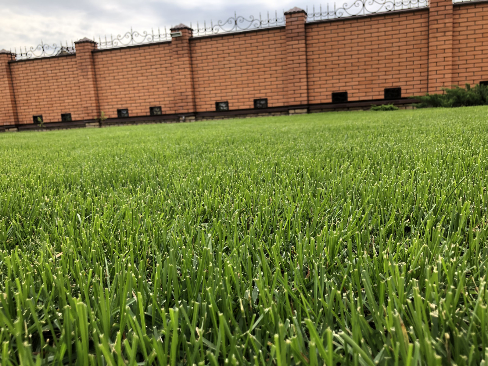 Вознесение