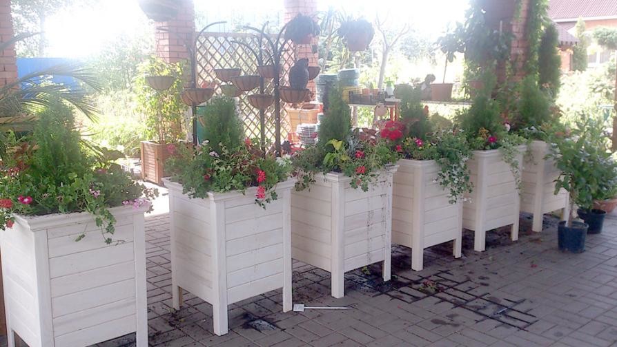 Обложка проекта: Контейнерное озеленение