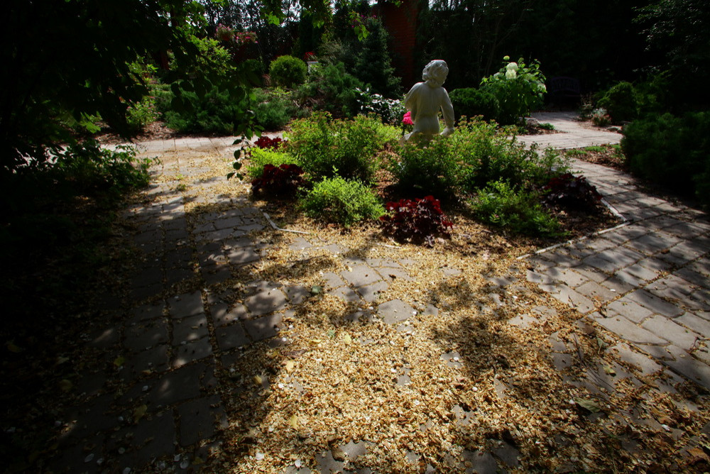 Ильинка. Реконструкция сада