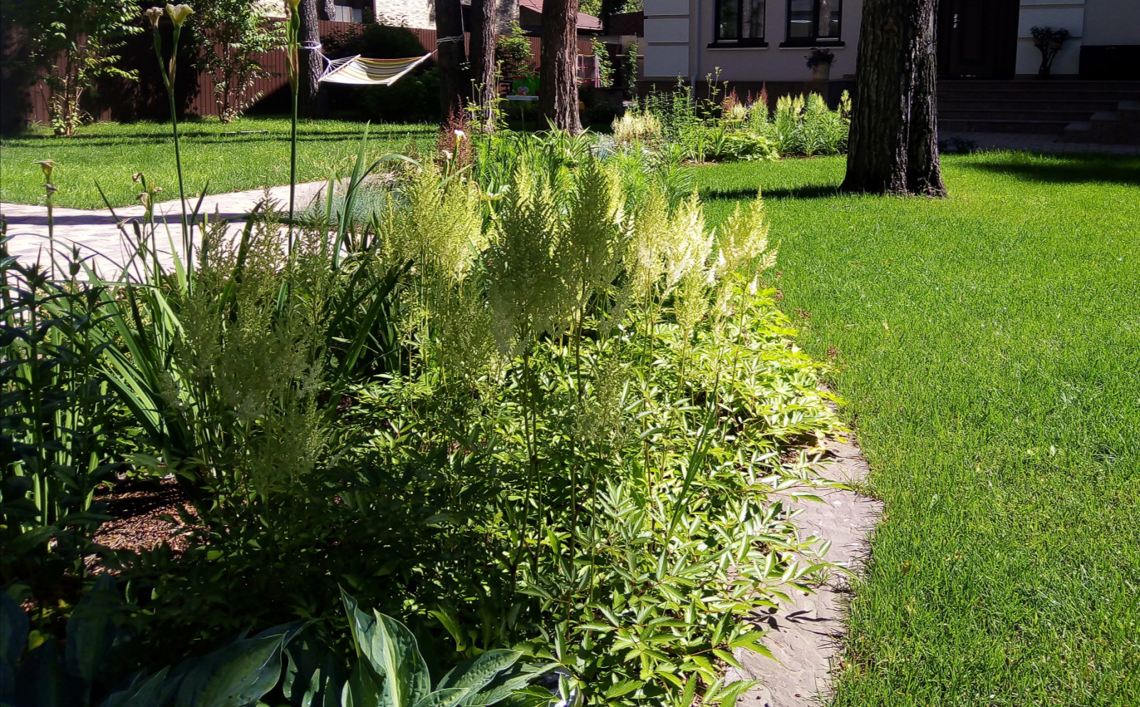 Цветники под пологом леса