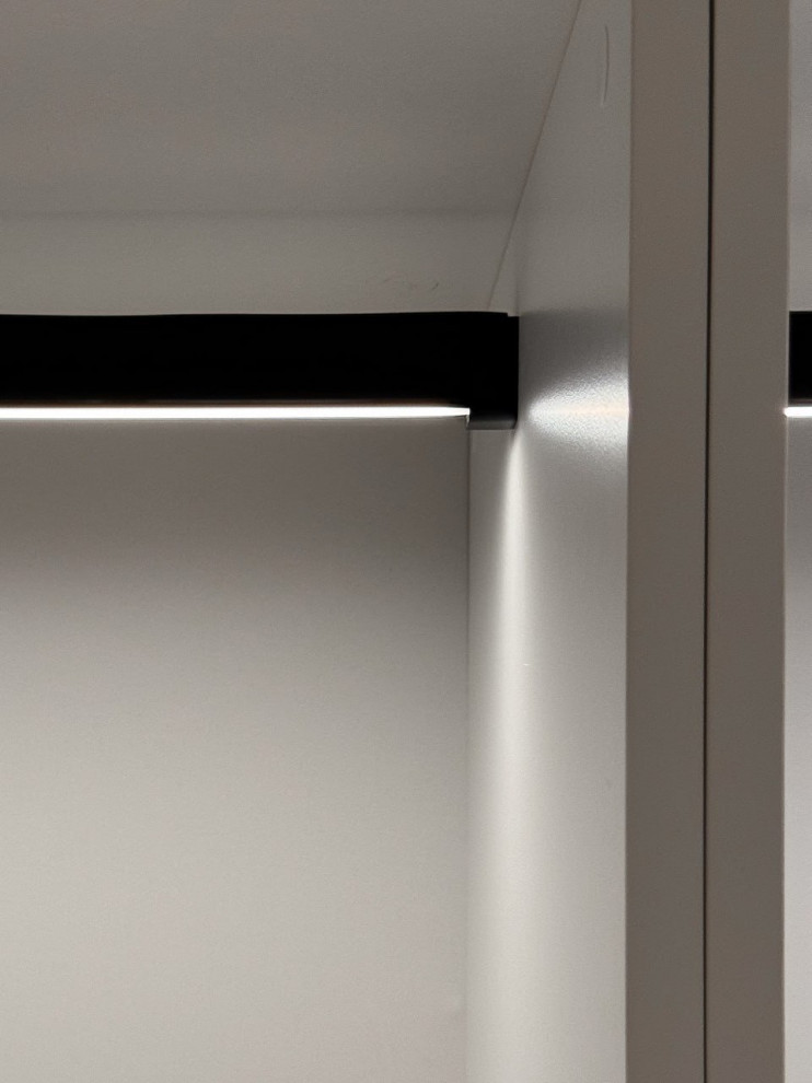 Обложка проекта: Зоологическая