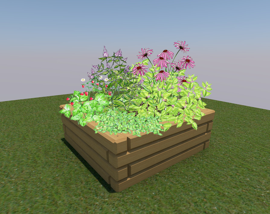 Обложка проекта: Проект огорода