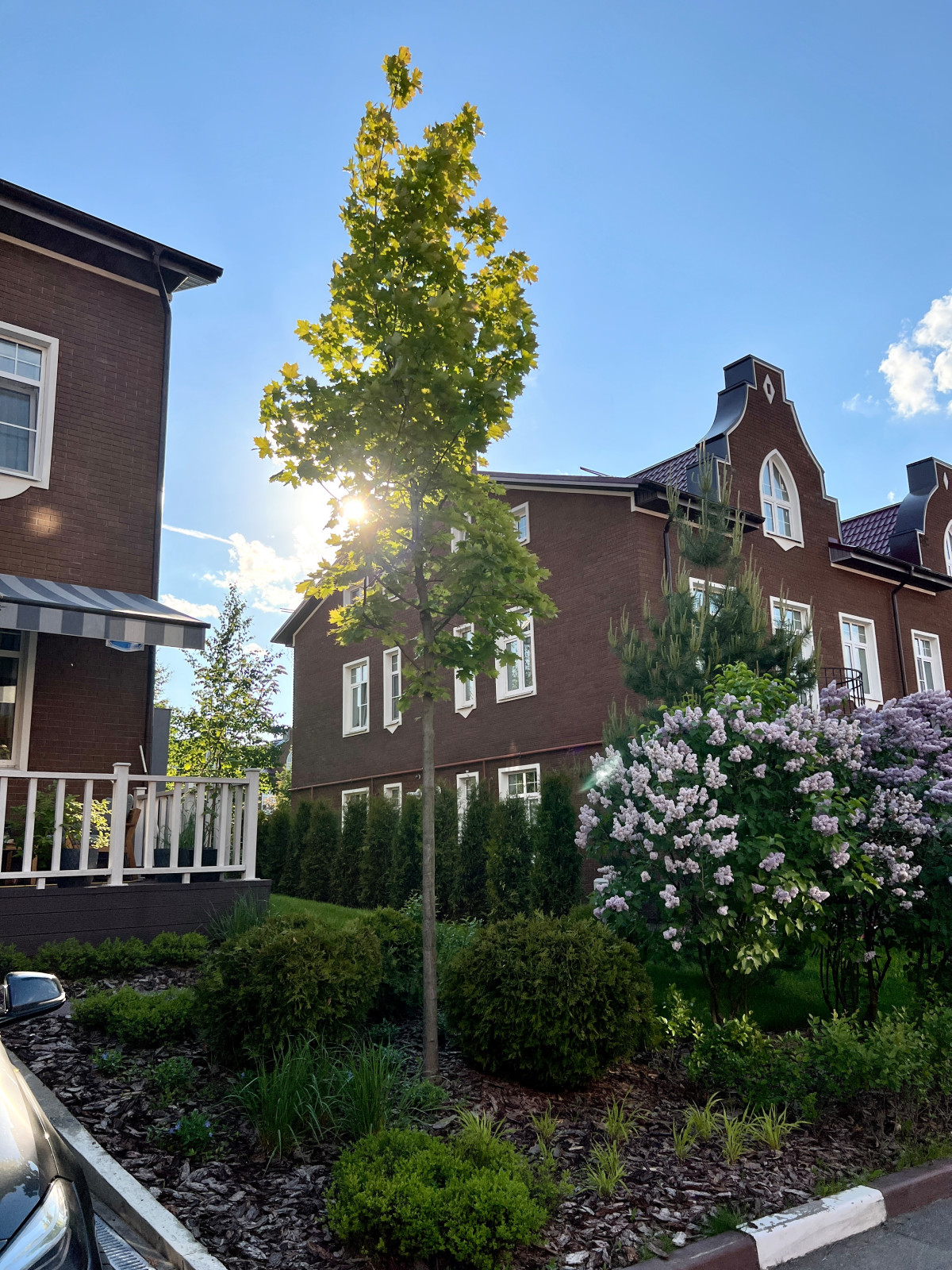 Мини-сад у таунхауса