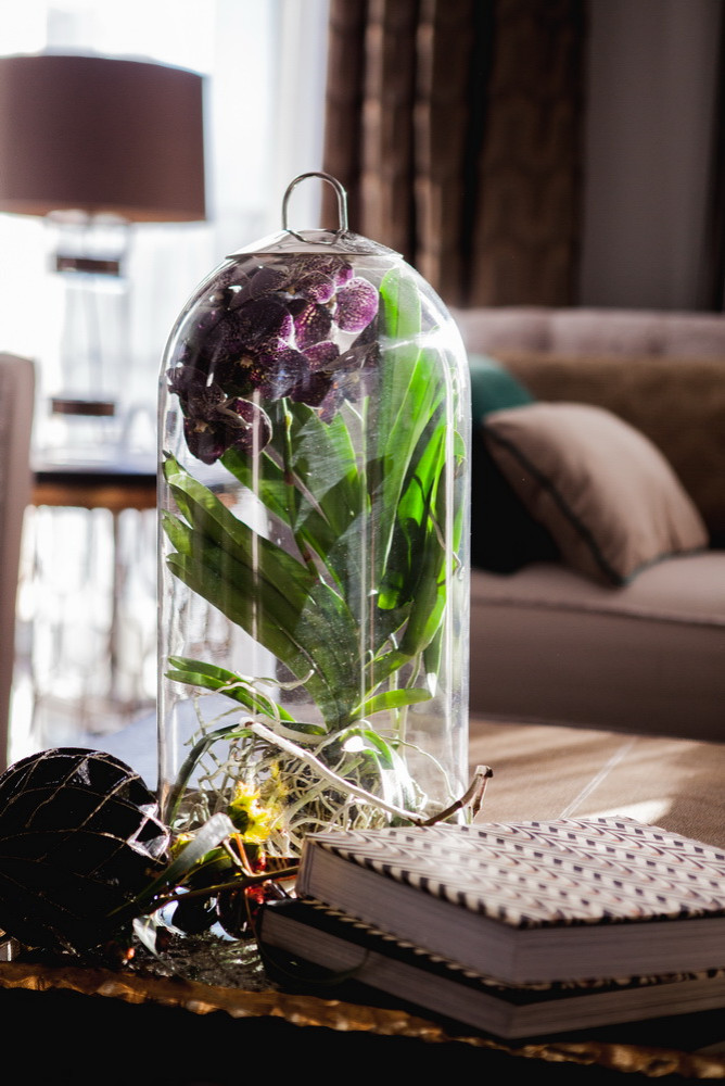 Скромное обаяние буржуа \\ гостиная-кухня