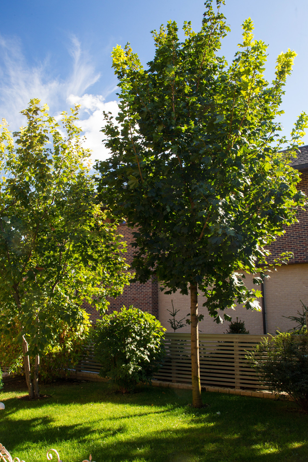 Дизайн-дебаты: Существуют ли недорогие ландшафтные стили