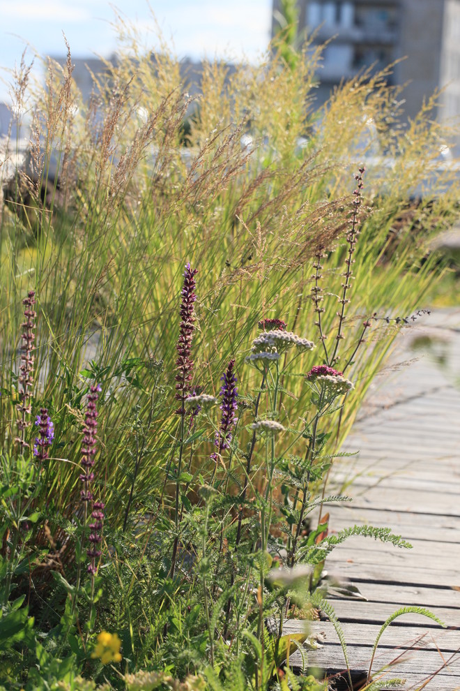 Сад на крыше