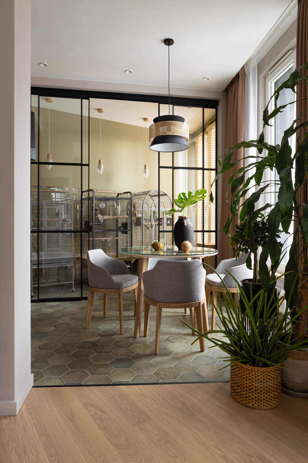 квартира с попугаями