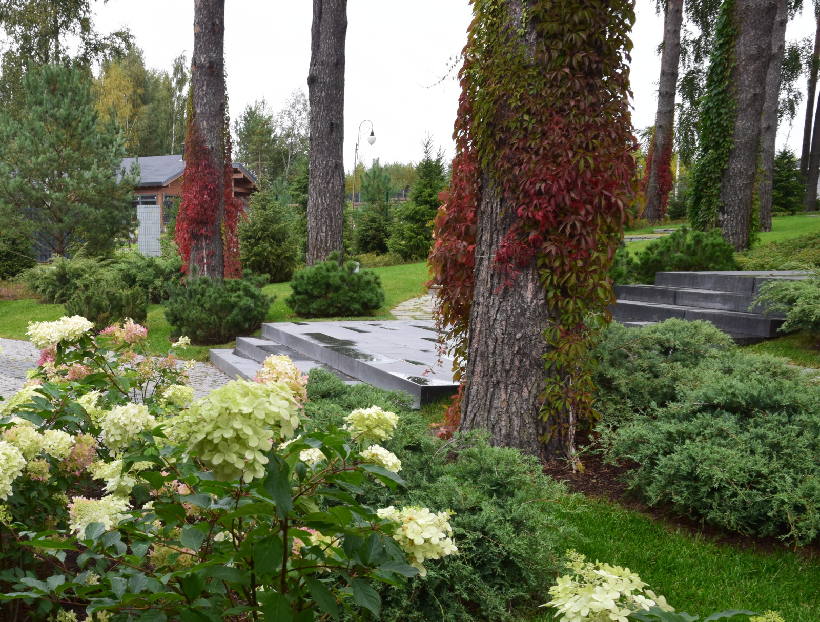 Ландшафт в Сестроречье