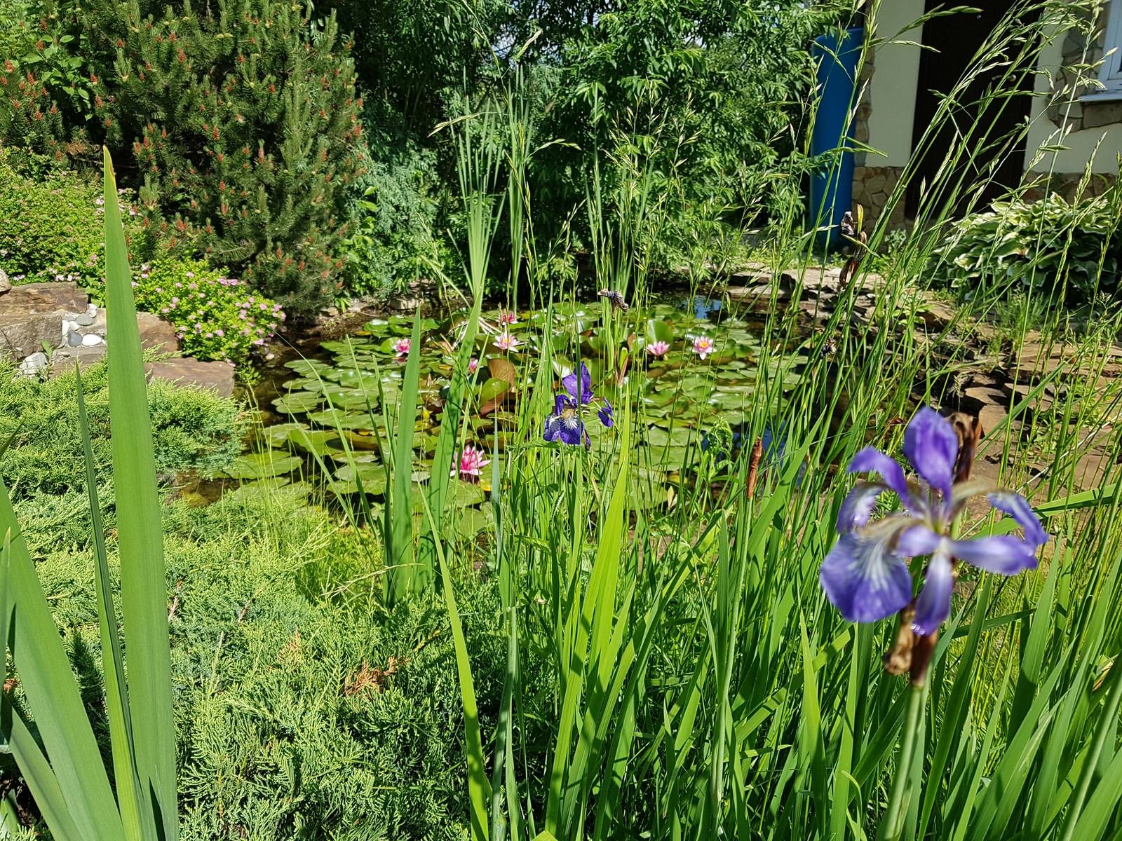 Косовка Калужское шоссе