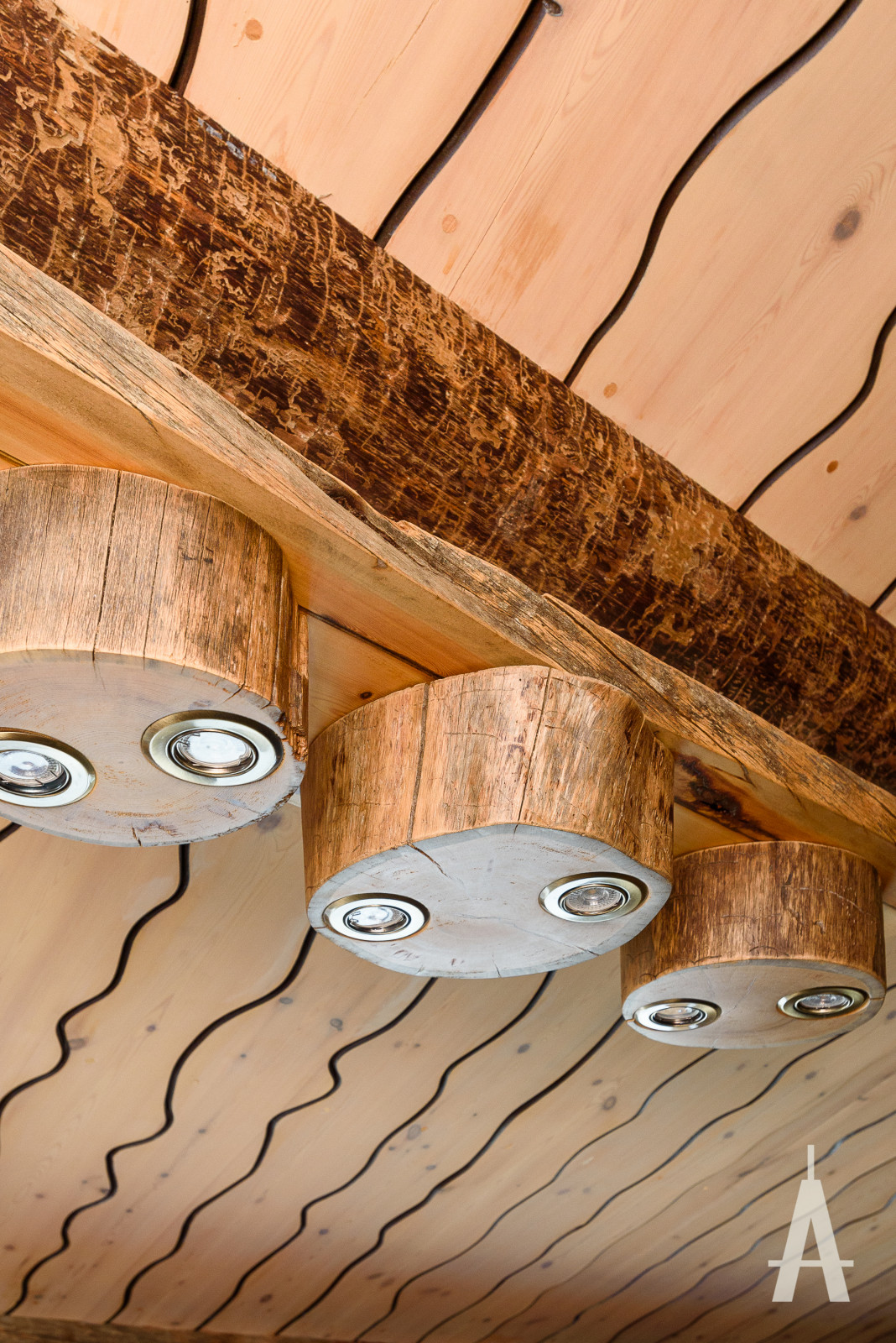 Баня Павлово