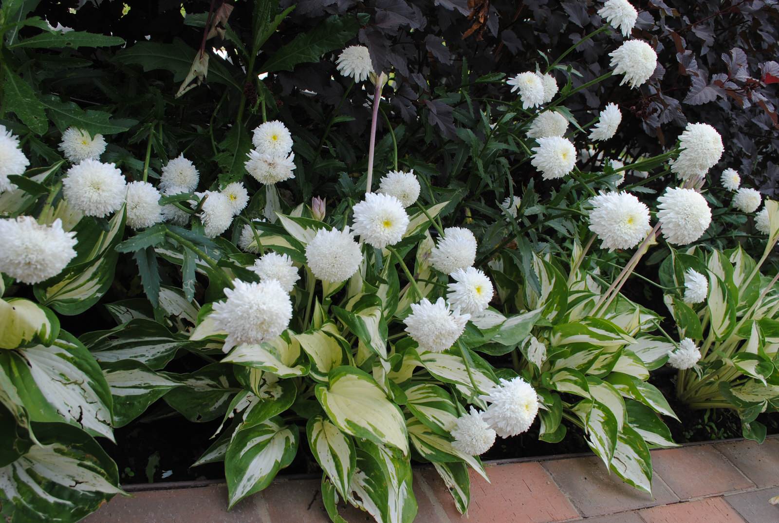 Обложка проекта: КП Варежки