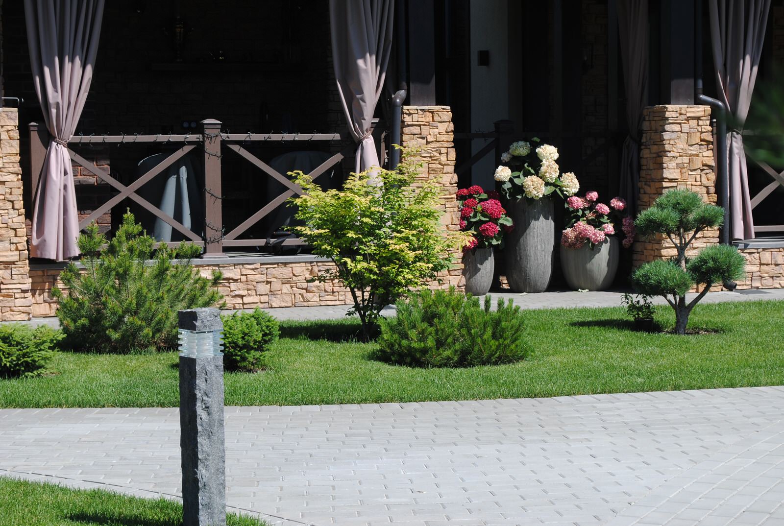 Сад с хвойными растениями