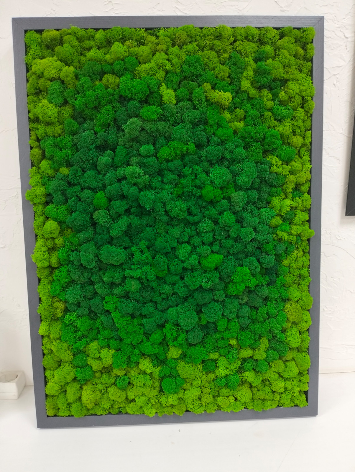 Обложка проекта: Панно из стабилизированного мха