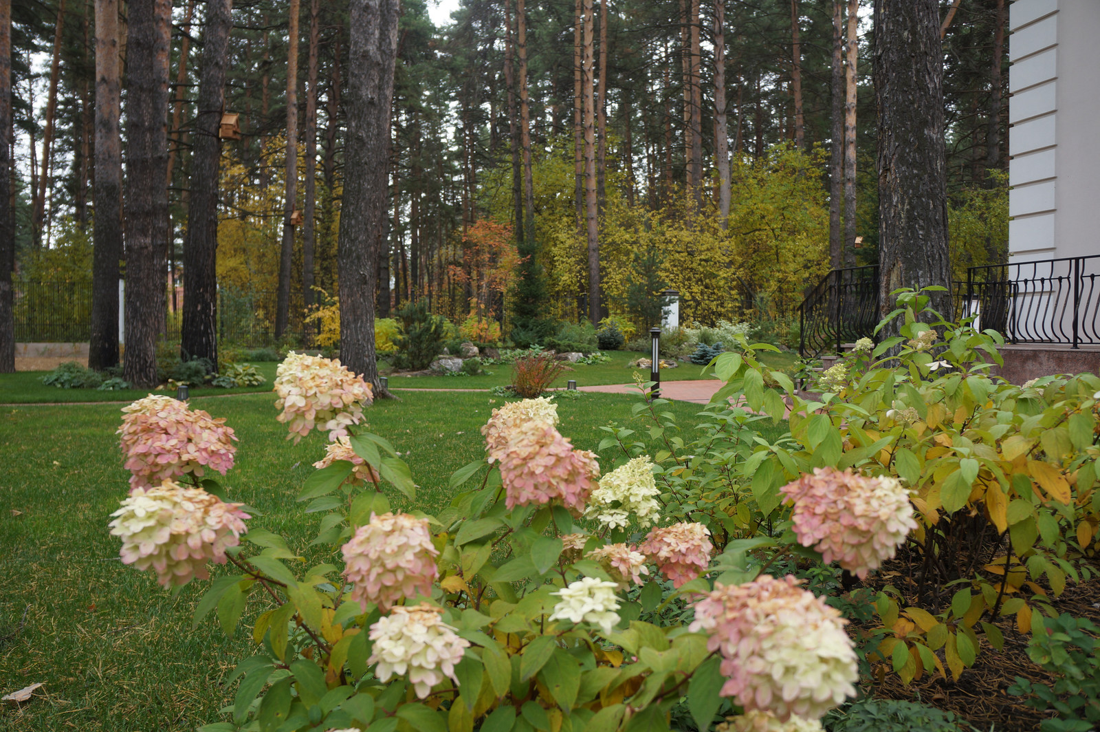 Белая усадьба