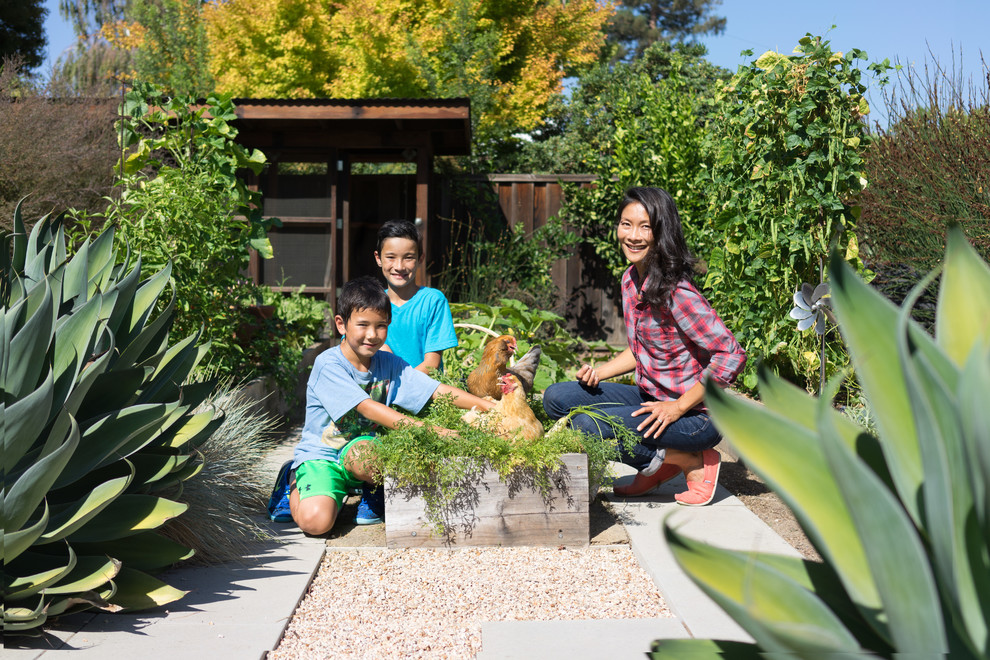 Мир дизайна: 10 счастливых питомцев и их места обитания в доме