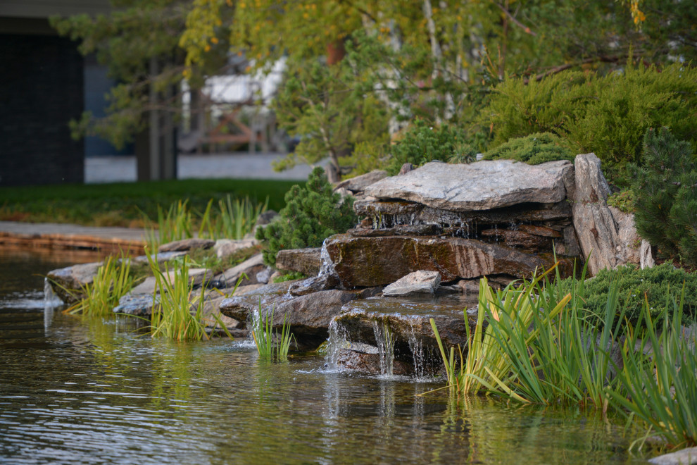 Проект сада с водоемом