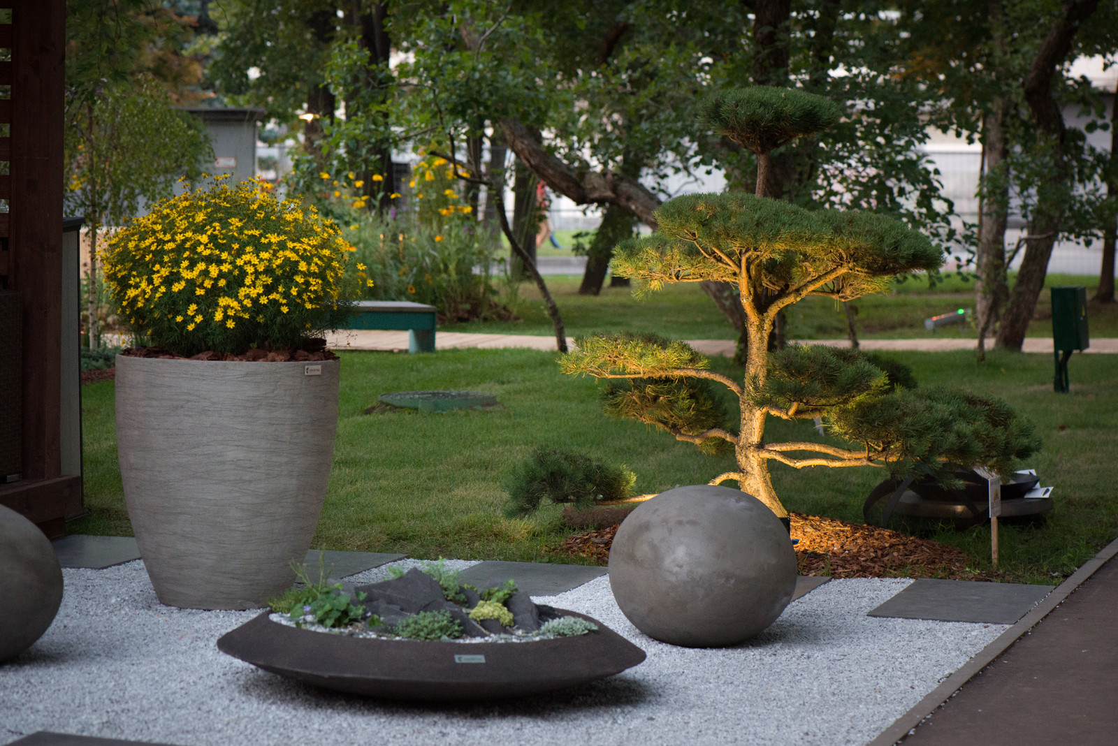 Вазоны и кашпо