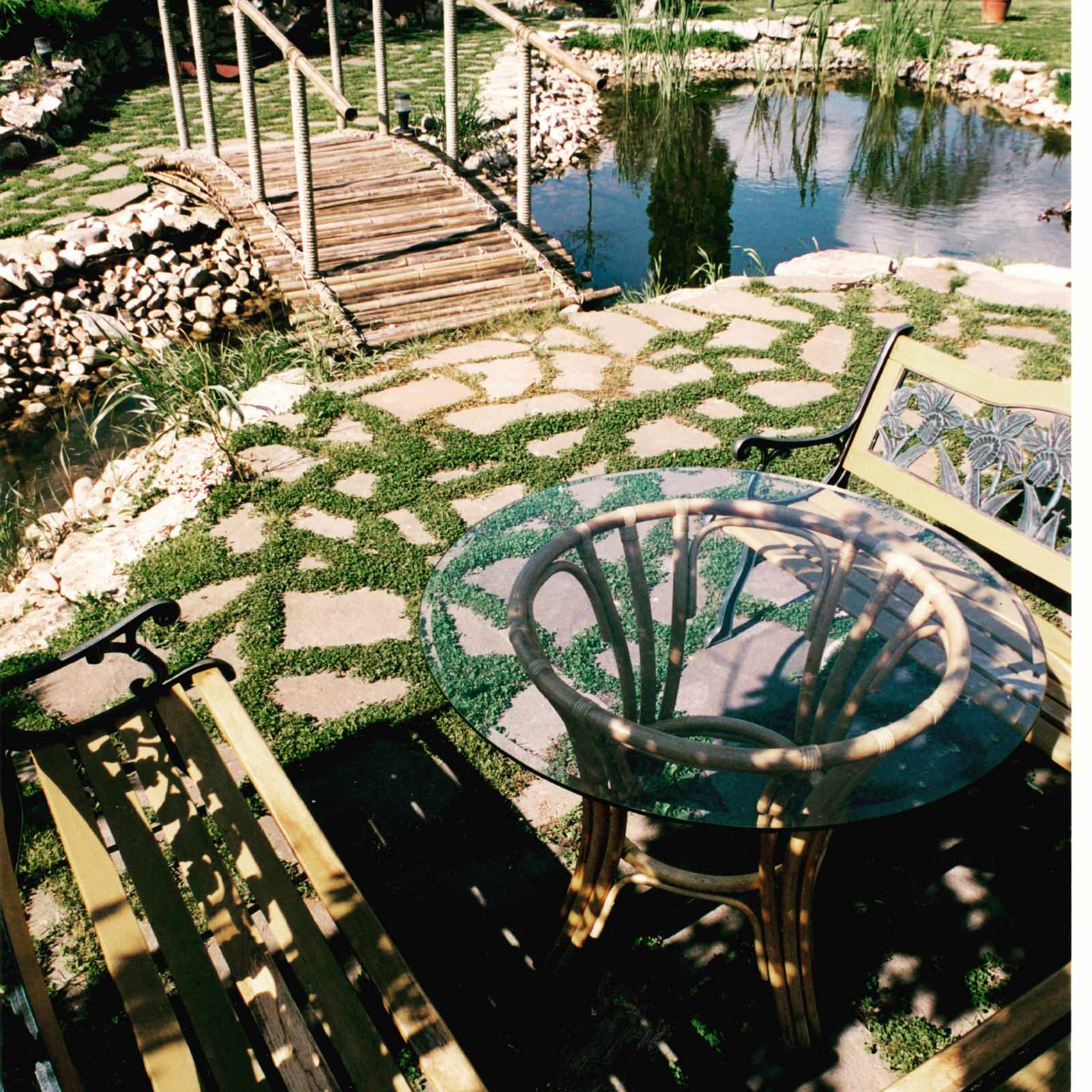 Обложка проекта: У водоема