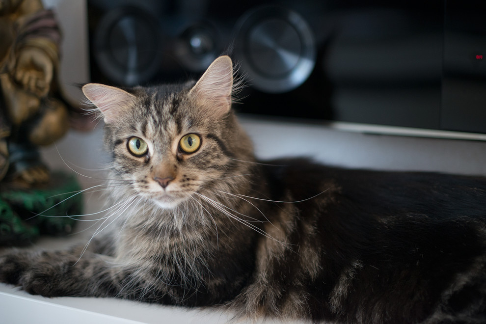 Загородный дом в Астрахани. Дизайнер Айгуль Сапарова.