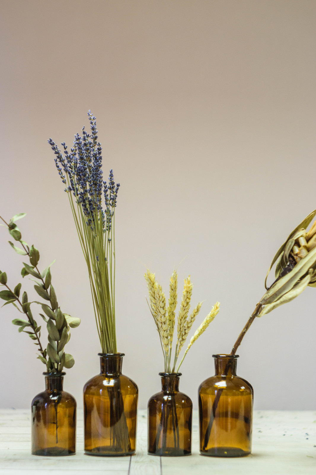 Обложка проекта: Композиции из сухоцветов