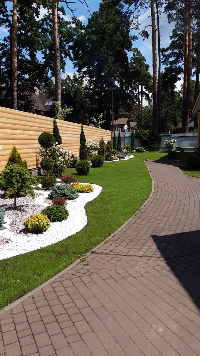 Проект Тригуляй