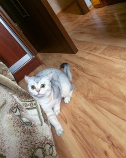 Сергей Славин